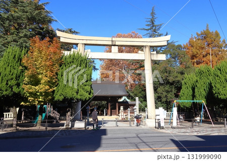 秋の川口神社の鳥居（埼玉県川口市） 131999090