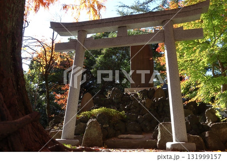 秋の川口神社：拝殿（埼玉県川口市） 131999157