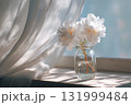 白い花と淡い風の静かな午後 白い花と淡い風の静かな午後 131999484