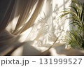カーテンに映る植物の影と午後の光 カーテンに映る植物の影と午後の光 131999527