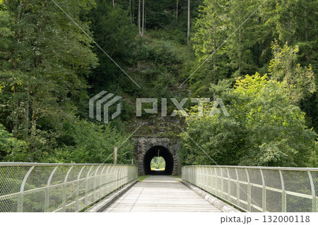 Scenic Forest Road with Tunnel Entrance in Nature Scenic Forest Road with Tunnel Entrance in Nature 132000118
