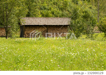 Small Rural Woodshed in the Forest, Rustic Countryside Scene Small Rural Woodshed in the Forest, Rustic Countryside Scene 132000129