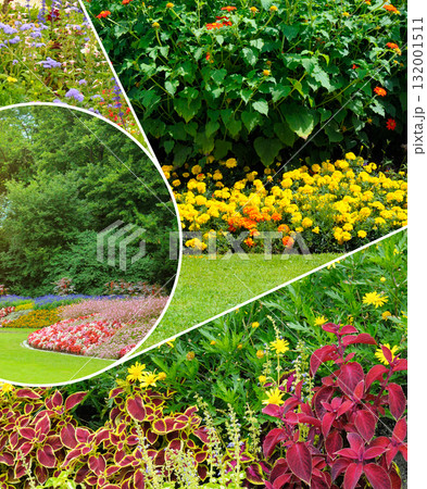 Colorful Garden and Park Landscape Collage with Vibrant Flowers Colorful Garden and Park Landscape Collage with Vibrant Flowers 132001511