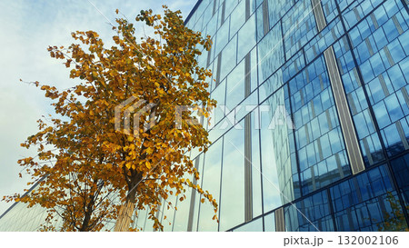 Office building. Glass skyscrapers in business center. Architecture, commercial real estate Office building. Glass skyscrapers in business center. Architecture, commercial real estate 132002106