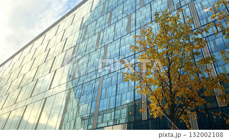 Office building. Glass skyscrapers in business center. Architecture, commercial real estate 132002108