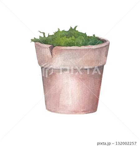 Ceramic flower pot and moss. Hand drawn watercolor illustration isolated on a white background. Perfect for design on cards, invitations, tableware, textiles and for creating your own designs, pattern Ceramic flower pot and moss. Hand drawn watercolor illustration isolated on a white background. Perfect for design on cards, invitations, tableware, textiles and for creating your own designs, pattern 132002257