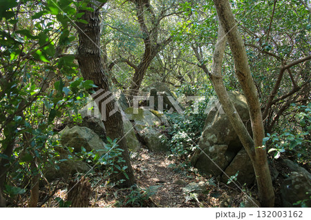 愛媛県愛南町 由良岬灯台と由良岬御所跡への道 愛媛県愛南町 由良岬灯台と由良岬御所跡への道 132003162