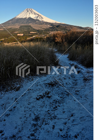 愛鷹山塊の越前岳へ登る雪道より望む朝の富士山 132003603