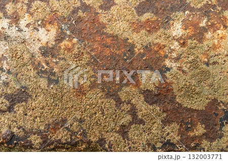Close-up of rusty, corroded metal 132003771