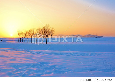 雪原のハサ木朝焼けの夜明け 132003862