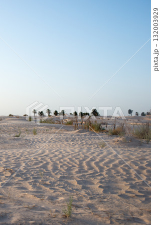 Beautiful landscape at Sahara desert, Tunisia 132003929
