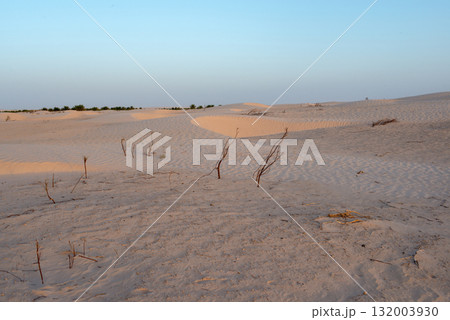 Dunes at Sahara desert with beautiful sunset light, Tunisia Dunes at Sahara desert with beautiful sunset light, Tunisia 132003930