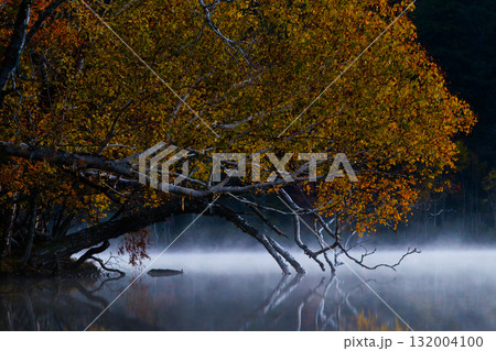 オンネトーの紅葉 オンネトーの紅葉 132004100