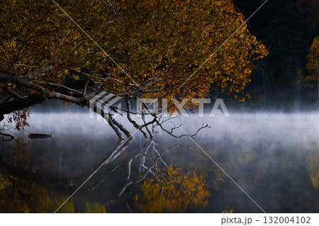 オンネトーの紅葉 132004102