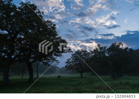 夜明けの雲 132004653