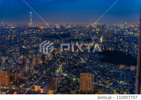 《東京都》SHIBUYA SKYから眺める東京都市風景・スカイツリー　トワイライト 132007787