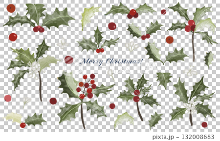 Watercolor Christmas holly illustration set 132008683