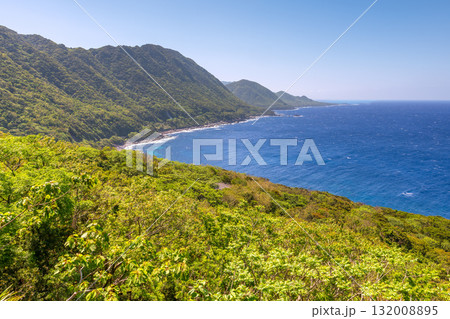 新緑と海 西部林道地域 世界自然遺産屋久島 新緑と海 西部林道地域 世界自然遺産屋久島 132008895