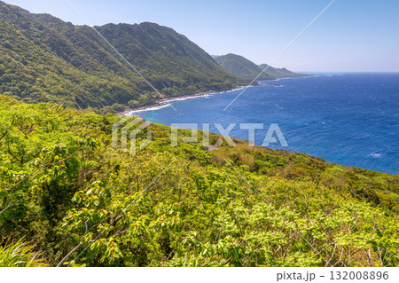 新緑と海 西部林道地域 世界自然遺産屋久島 新緑と海 西部林道地域 世界自然遺産屋久島 132008896