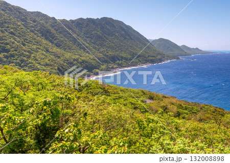 新緑と海　西部林道地域　世界自然遺産屋久島 132008898