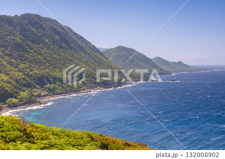 新緑と海　西部林道地域　世界自然遺産屋久島 132008902