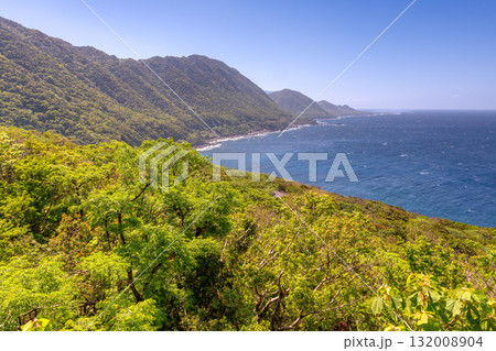 新緑と海 西部林道地域 世界自然遺産屋久島 新緑と海 西部林道地域 世界自然遺産屋久島 132008904
