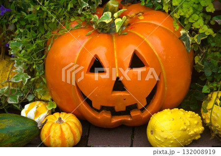 ハロウィン ハロウィン 132008919