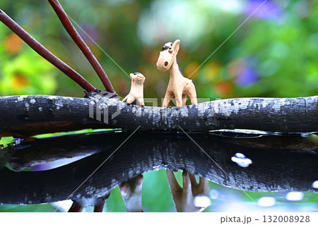 お馬の恋の物語・楽園の朝 132008928