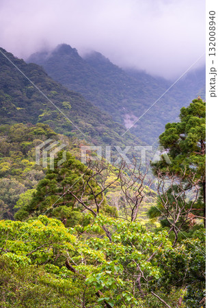 新緑の森と山 西部林道地域 世界自然遺産屋久島 新緑の森と山 西部林道地域 世界自然遺産屋久島 132008940