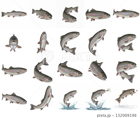 ニジマスのイラストポーズ集 - 様々な角度とジャンプ姿 ニジマスのイラストポーズ集 - 様々な角度とジャンプ姿 132009198