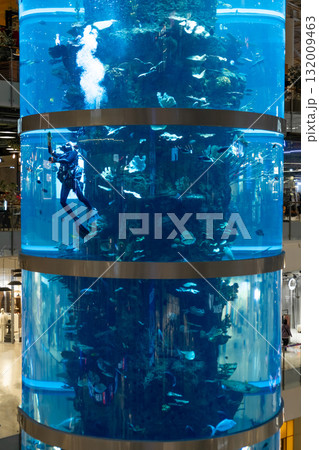 January 7, 2025, Moscow, Russia. A diver swims among vibrant fish in the giant aquarium at Aviapark mall, Moscow. A captivating marine display in the heart of the city. January 7, 2025, Moscow, Russia. A diver swims among vibrant fish in the giant aquarium at Aviapark mall, Moscow. A captivating marine display in the heart of the city. 132009463