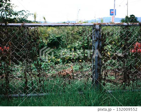 イノシシによって破られたフェンス 132009552