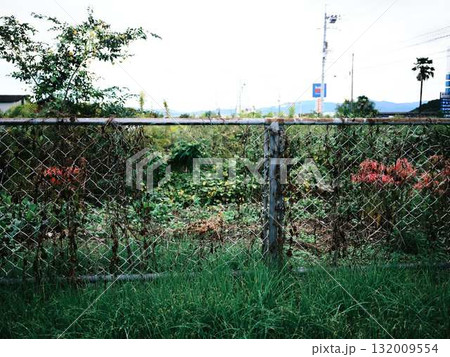 イノシシによって破られたフェンス 132009554