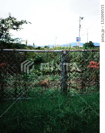 イノシシによって破られたフェンス 132009555