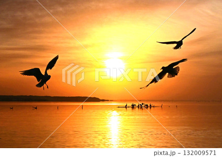 水鳥の戯れる霞ケ浦の初日の出 132009571