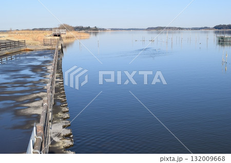 牛久沼 茨城県龍ヶ崎市 132009668