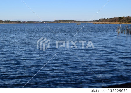 牛久沼 茨城県龍ヶ崎市 132009672