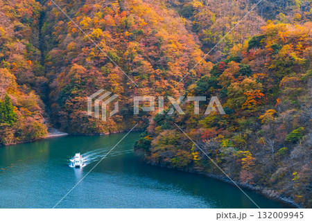庄川峡(秋) 庄川峡(秋) 132009945