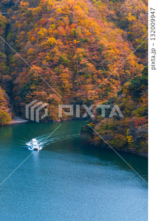 庄川峡(秋) 庄川峡(秋) 132009947