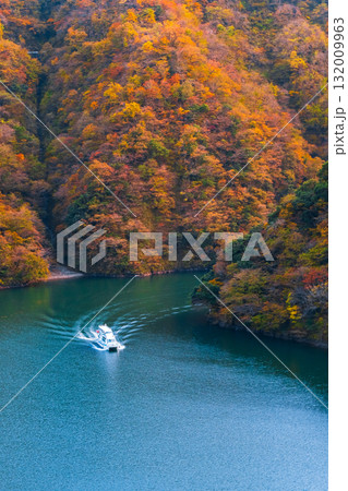 庄川峡(秋) 庄川峡(秋) 132009963