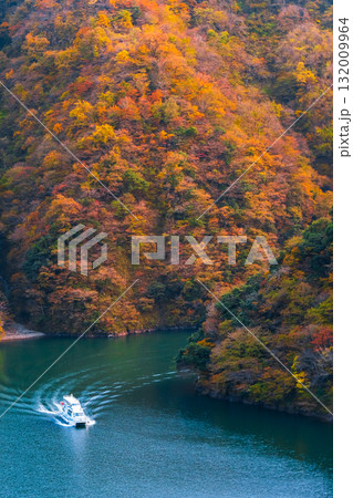 庄川峡（秋） 132009964