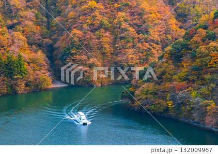 庄川峡（秋） 132009967