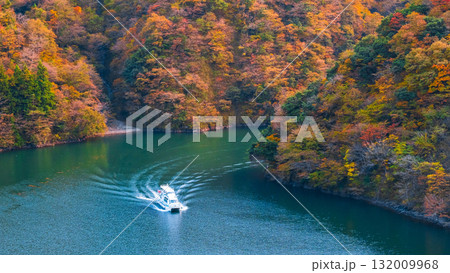 庄川峡（秋） 132009968