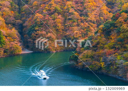 庄川峡(秋) 庄川峡(秋) 132009969