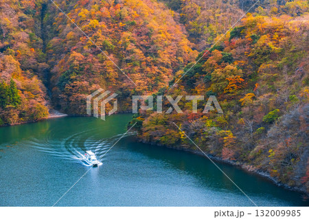 庄川峡（秋） 132009985