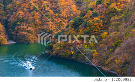 庄川峡（秋） 132009988