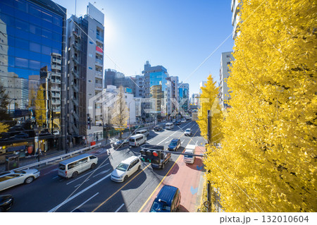 黄色に色づいた銀杏並木の駒沢通り【秋イメージ】 132010604
