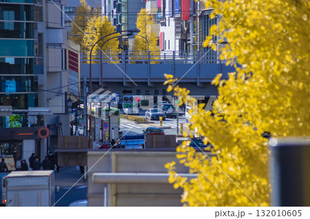 黄色に色づいた銀杏並木の駒沢通り【秋イメージ】 黄色に色づいた銀杏並木の駒沢通り【秋イメージ】 132010605