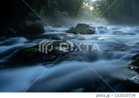 光さす菊池渓谷　熊本 132010739
