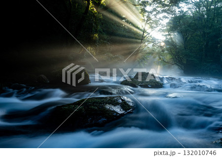 光さす菊池渓谷 熊本 光さす菊池渓谷 熊本 132010746